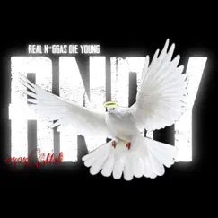 Rndy - Single by 404Mali album reviews, ratings, credits