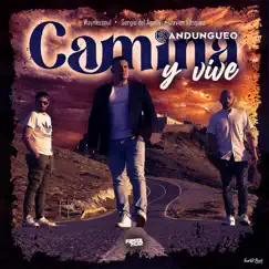 Camina y Vive (feat. Sergio del Águila, Javier Vazquez & Waynessoul) - Single by Sandungueo & Ozarus album reviews, ratings, credits