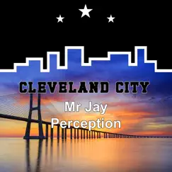 Perception - Single by Mr Jay album reviews, ratings, credits