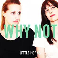 Why Not - Single by Little Horns album reviews, ratings, credits