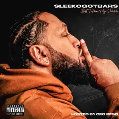 Still Talkin My Shhhh by SleekoGotBars album reviews, ratings, credits