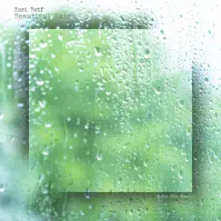 Beautiful Rain - Single by Rosi Botí album reviews, ratings, credits