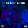 Blues Or Sumn (feat. KetchyTheGreat) - Single album lyrics, reviews, download