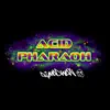 Acid Pharaoh song lyrics