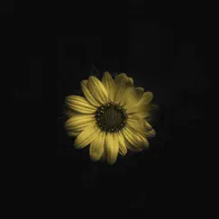 Sunflower - Single by Solely Tone album reviews, ratings, credits