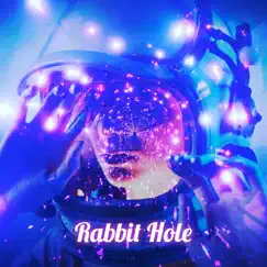 Rabbit Hole - Single by Chris Davison album reviews, ratings, credits