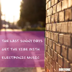 The Last Sunny Days Get the Vibe with Electronic Music by Various Artists album reviews, ratings, credits