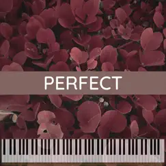 Perfect (Instrumental Cover) - Single by Basiel Jozey album reviews, ratings, credits