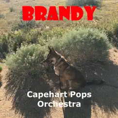 Brandy - Single by Capehart Pops Orchestra album reviews, ratings, credits