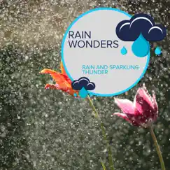 Rain Wonders - Rain and Sparkling Thunder by Rain Recordings & Everyday Rain Stories album reviews, ratings, credits