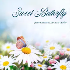 Sweet Butterfly Song Lyrics