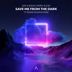 Save Me from the Dark (feat. Rouno & Sarah Rose) Song Lyrics