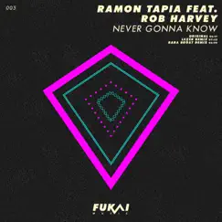 Never Gonna Know (Remixes) [feat. Rob Harvey] - Single by Ramon Tapia album reviews, ratings, credits