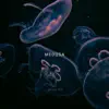 Medusa song lyrics