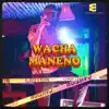 Wacha Maneno (feat. Man Lee & Denesi) - Single album lyrics, reviews, download