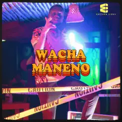 Wacha Maneno (feat. Man Lee & Denesi) - Single by Lagum the Rapper album reviews, ratings, credits