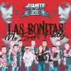 Las Bonitas No Son Fieles - Single album lyrics, reviews, download