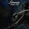Sorrow (feat. Seekingwisdom) - Single album lyrics, reviews, download