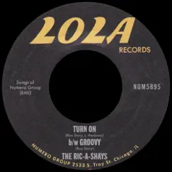Turn On b/w Groovy - Single by The Ric-A-Shays & The Travelers album reviews, ratings, credits