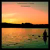 Contemplation - Single album lyrics, reviews, download