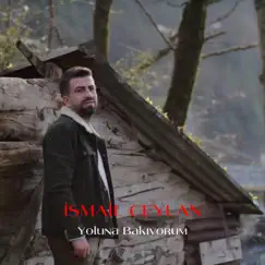 Yoluna Bakıyorum - Single by İsmail Ceylan album reviews, ratings, credits