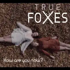 How Are You Now? - Single by True Foxes album reviews, ratings, credits