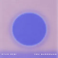 You Surround (Live) Song Lyrics