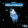 Mr.Freeze (feat. John Wicks) - Single album lyrics, reviews, download