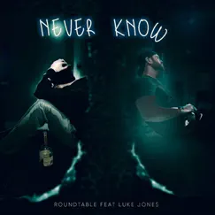 Never Know - Single (feat. Luke Jones) - Single by Roundtable album reviews, ratings, credits