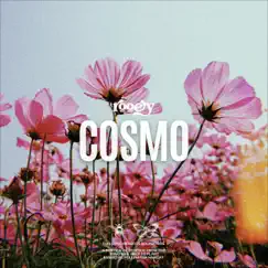 Cosmo - Single by Rooey album reviews, ratings, credits