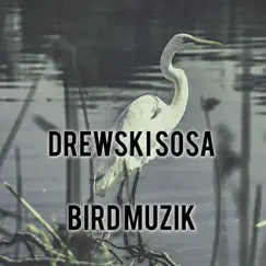 Bird Muzik (Instrumental) - Single by Drewski Sosa album reviews, ratings, credits