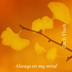 Always on My Mind - Single by Zach Flash album reviews, ratings, credits