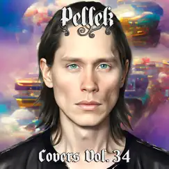 Covers, Vol. 34 by PelleK album reviews, ratings, credits