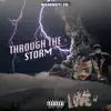 Through the Storm - Single album lyrics, reviews, download