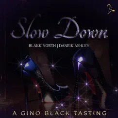 Slow Down (A Gino Black Tasting) Song Lyrics
