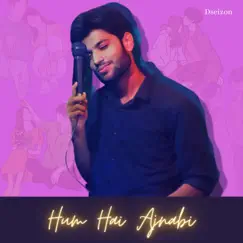 Hum Hai Ajnabi - Single by Dseizon album reviews, ratings, credits