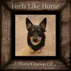 Feels Like Home - Single album lyrics, reviews, download