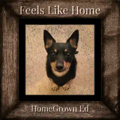 Feels Like Home - Single by HomeGrown Ed album reviews, ratings, credits