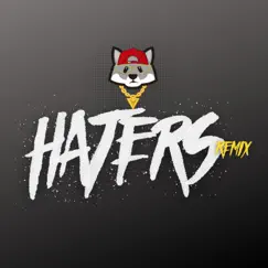 Haters ( Remix ) [feat. Yo Soy John Kenny, Iam Astro, Wilkush, Arbel & Angie V] Song Lyrics