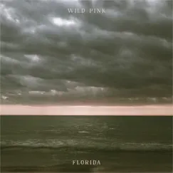 Florida - Single by Wild Pink album reviews, ratings, credits