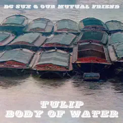 Tulip / Body of Water EP by Our Mutual Friend & dc sux album reviews, ratings, credits