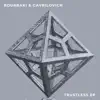 Trustless (feat. Gavrilovich) - Single album lyrics, reviews, download