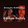 Shadow Valley (feat. Sadboyshaq) - Single album lyrics, reviews, download