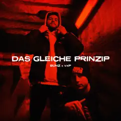 Das gleiche Prinzip - Single by BUNZ & VXP album reviews, ratings, credits