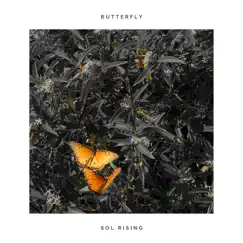 Butterfly - Single by Sol Rising album reviews, ratings, credits