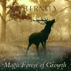 Magic Forest of Growth - Single by X-Eternity album reviews, ratings, credits