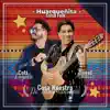 Huarqueñita (Salsa Folk) - Single album lyrics, reviews, download