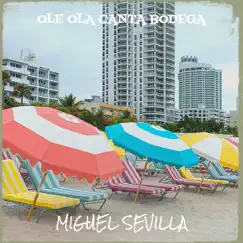 OLE OLA CANTA BODEGA - Single by Miguel Sevilla album reviews, ratings, credits