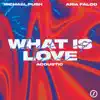 What Is Love (feat. Aria Falco) [Acoustic] - Single album lyrics, reviews, download