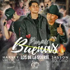 Amor Confuso - Single by Los De La Suerte album reviews, ratings, credits